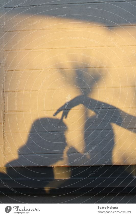 Schatten | Hör auf, mir auf dem Kopf herumzutanzen! Leben Ferien & Urlaub & Reisen Sommer Feste & Feiern Mensch Frau Erwachsene Arme Hand Sonnenlicht