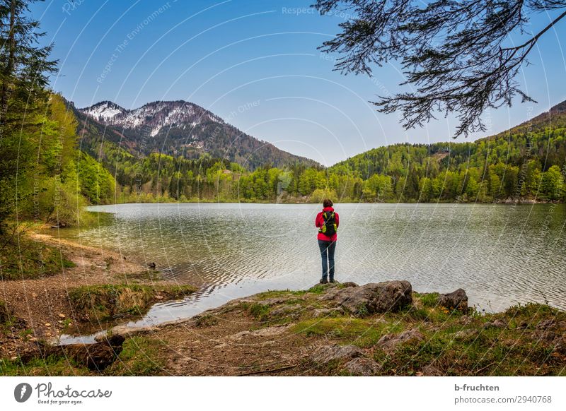 Gebirgssee, Frau stehend Ausflug Abenteuer Ferne Freiheit Berge u. Gebirge wandern Erwachsene 1 Mensch Natur Landschaft Himmel Frühling Schönes Wetter Wald