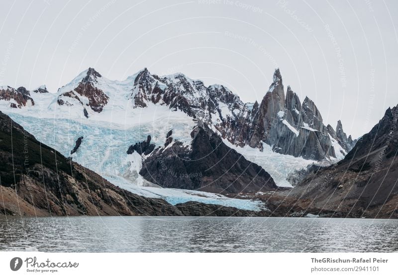 Bergsee Natur grau weiß Cerro Torre Lagune See Gletscher Gebirgssee Felswand Wasser kalt Patagonien Argentinien Südamerika wandern Farbfoto Außenaufnahme