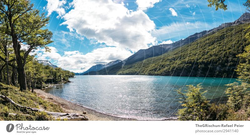 lago del desierto Natur blau türkis weiß Wolken See Küste el chaltén Argentinien Idylle ruhig Pause Ferien & Urlaub & Reisen Wald Baum Sonnenlicht Farbfoto