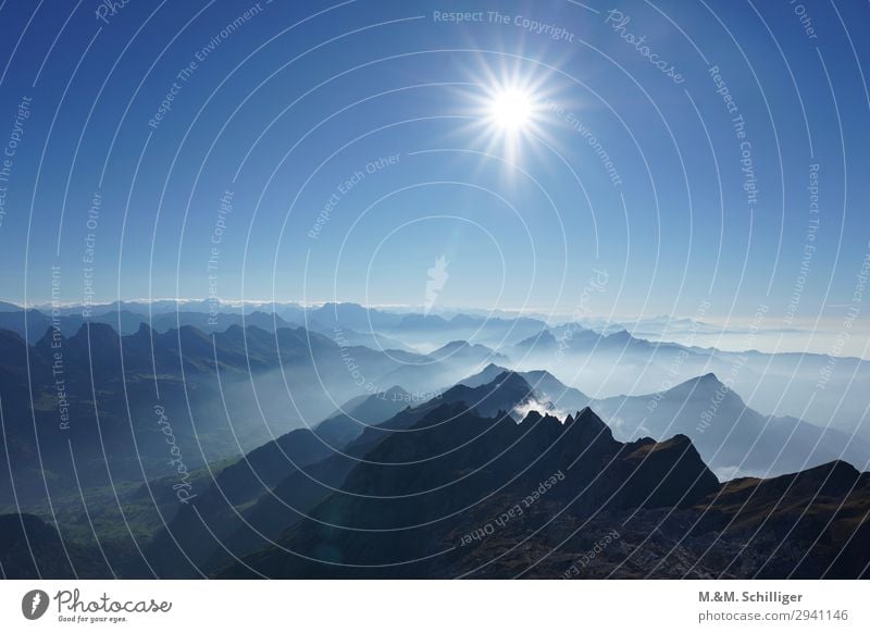 Fog in the alps Landschaft Luft Himmel Wolkenloser Himmel Sonne Nebel Alpen Berge u. Gebirge Berg Säntis Chäserrugg Churfirsten Toggenburg blau Geborgenheit