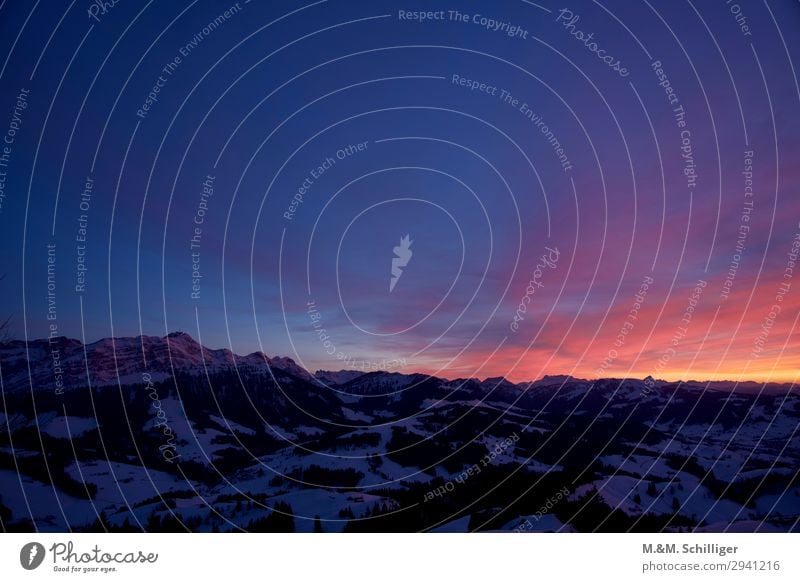 Der Himmel brennt Winter Sonnenaufgang Sonnenuntergang Hügel Felsen Alpen Berge u. Gebirge Berg Säntis genießen Liebe verblüht dehydrieren Glück Unendlichkeit