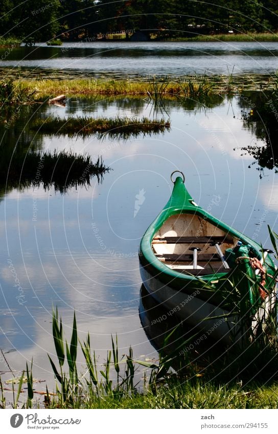 ablegen Ausflug Sommer Sommerurlaub Wassersport Umwelt Natur Landschaft Frühling Gras Sträucher Moos Wasserpflanze Küste Seeufer Teich Feldberger seenplatte