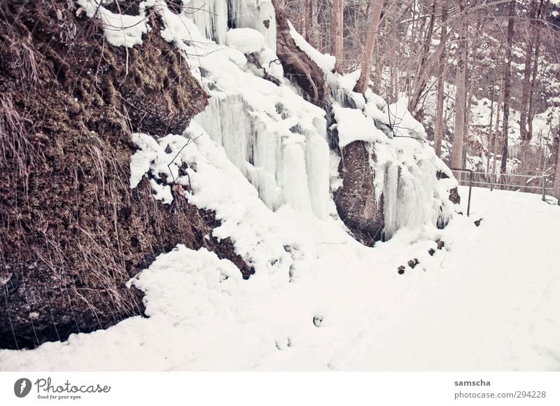 Eiszeit Winter Schnee Winterurlaub Umwelt Natur Landschaft Frost frieren kalt natürlich Schneefall Schneelandschaft Schneedecke Eiszapfen gefroren