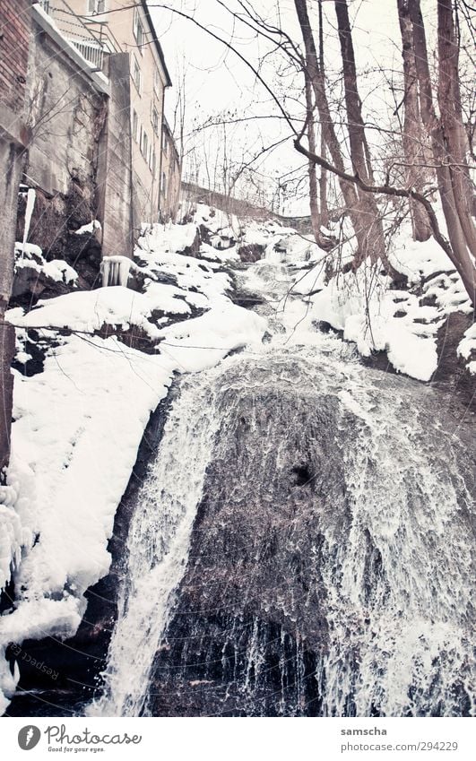 den Bach runter Winter Schnee Winterurlaub Umwelt Natur Landschaft Wasser Klima Klimawandel Eis Frost Felsen frieren Flüssigkeit kalt nass natürlich wild