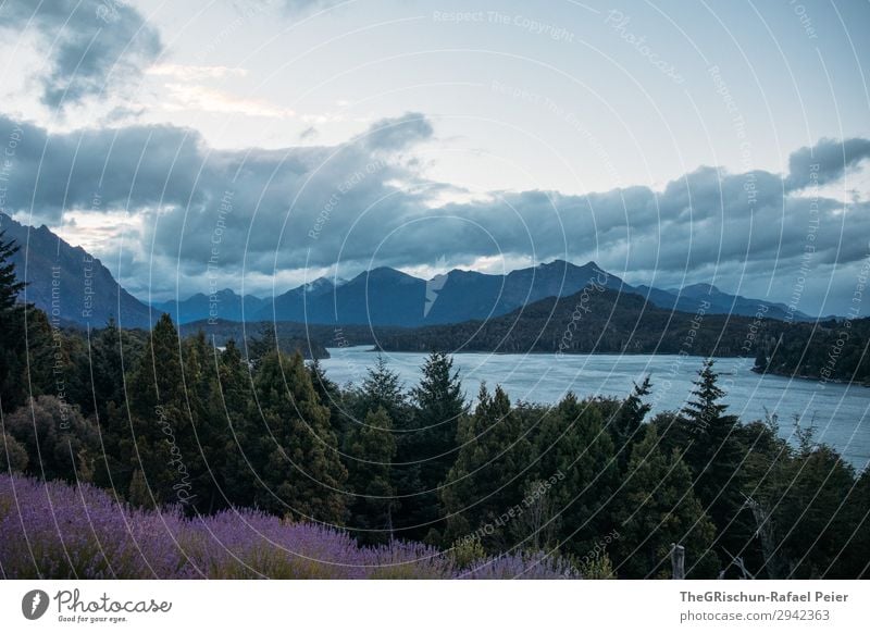 Bariloche Natur Landschaft blau grau Wald Lavendel bariloche Argentinien Dämmerung See Berge u. Gebirge Wolken Ferne Patagonien Farbfoto Außenaufnahme