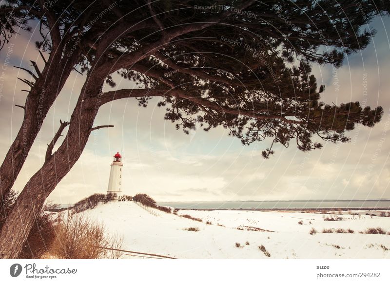 Strandwächter Meer Insel Winter Schnee Umwelt Natur Landschaft Urelemente Erde Himmel Wolken Horizont Klima Wetter Schönes Wetter Baum Hügel Küste Leuchtturm