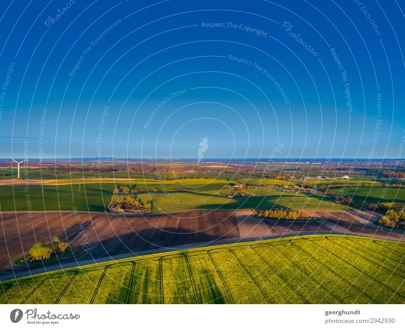 Frühluft I Wellness Leben Landwirtschaft Forstwirtschaft Umwelt Natur Landschaft Pflanze Erde Sand Himmel Wolkenloser Himmel Feld Menschenleer Blühend frei blau