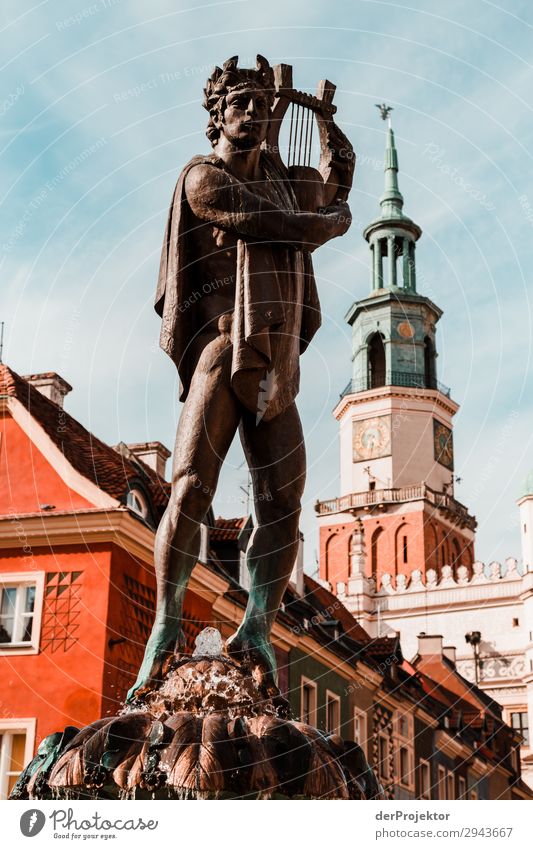 Statue am Marktplatz in Posnan Zentralperspektive Gegenlicht Sonnenstrahlen Sonnenlicht Kontrast Schatten Abend Tag Licht Textfreiraum Mitte Textfreiraum oben