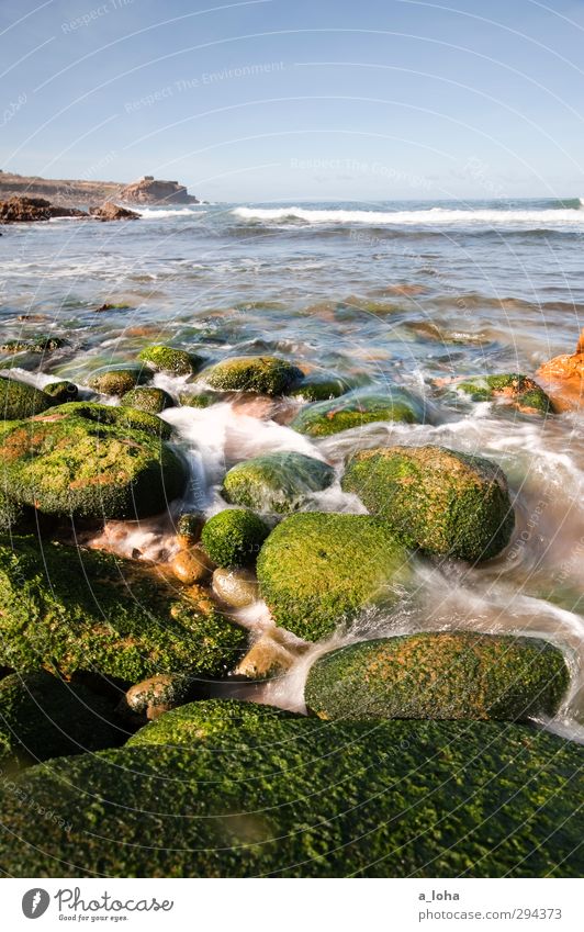 even flow Umwelt Natur Urelemente Wasser Wassertropfen Wolkenloser Himmel Horizont Sommer Schönes Wetter Wärme Pflanze Algen Felsen Wellen Küste Strand Bucht