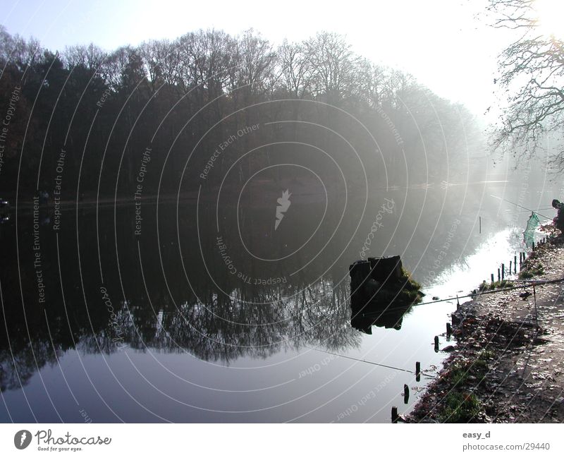 angeln in Borken Herbst Reflexion & Spiegelung Angler Baum Sonne Wasser