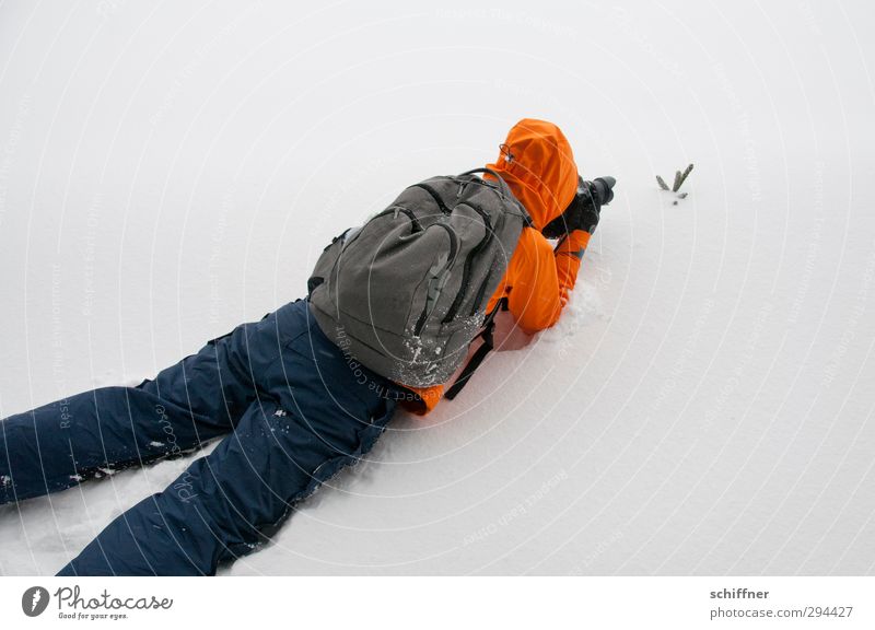 Warten, bis es sich bewegt... Mensch Junge Frau Jugendliche 1 Umwelt Natur schlechtes Wetter Wind Sturm Nebel Eis Frost Schnee Pflanze liegen Fotografieren kalt