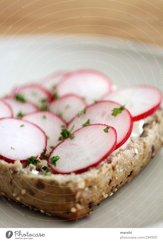 mhhhh... Lebensmittel Gemüse Ernährung Essen Bioprodukte Vegetarische Ernährung rot Radieschen Autofenster belegt Brötchen Petersilie Snack Stadt Essen Farbfoto