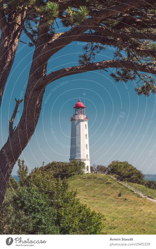 Leuchtturm Dornbusch Hiddensee harmonisch Ferien & Urlaub & Reisen Tourismus Ausflug Ferne Sommerurlaub Insel Natur Landschaft Wolkenloser Himmel Schönes Wetter