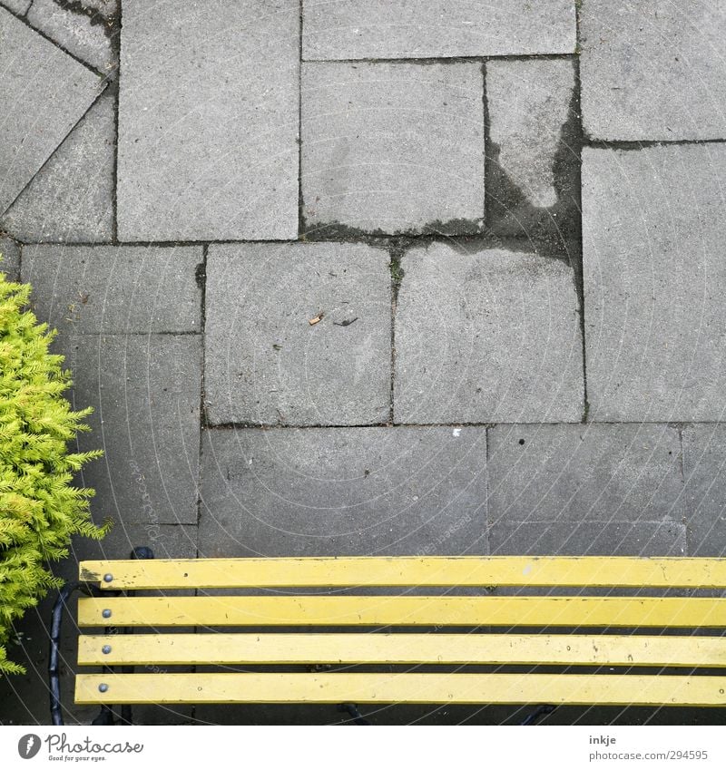 Kippe Häusliches Leben Gartenbank Terrasse Baum Sträucher Buchsbaum Menschenleer Platz Zigarettenstummel Bodenplatten Beton Linie Streifen Rechteck hoch klein