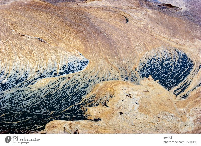 Land Art Umwelt Natur Wasser Bach liegen dreckig Ekel Flüssigkeit nass trashig Stress Bewegung chaotisch Desaster Endzeitstimmung Krise Umweltverschmutzung