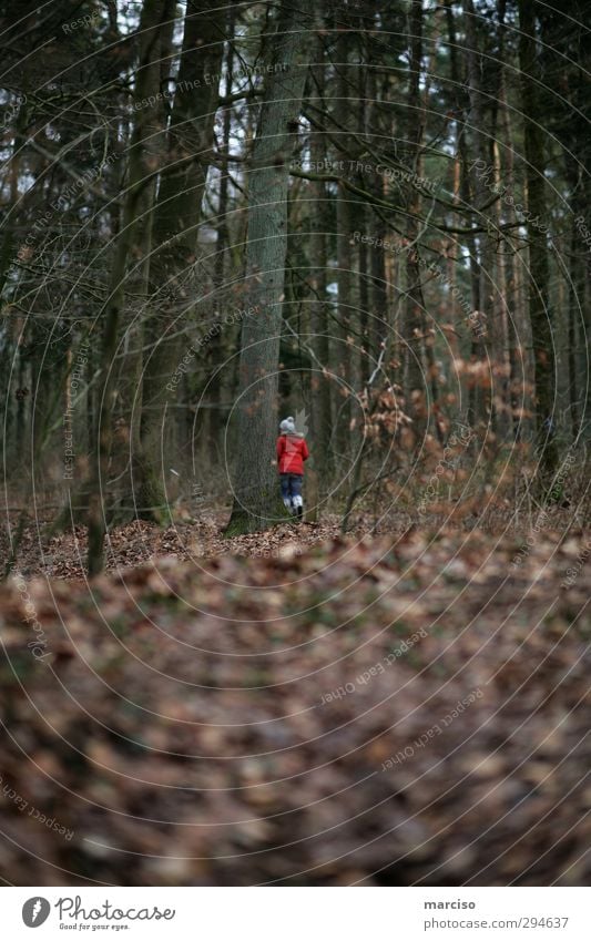 Hobbit 1 Mensch Wald träumen Gefühle bizarr Einsamkeit einzigartig geheimnisvoll Identität nachhaltig Sinnesorgane skurril Irritation Zwerg mystisch Mysterium