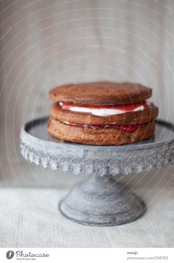 unfertig Kuchen Dessert Süßwaren Ernährung Slowfood Geschirr lecker süß Tortenplatte Farbfoto Innenaufnahme Menschenleer Textfreiraum oben Tag