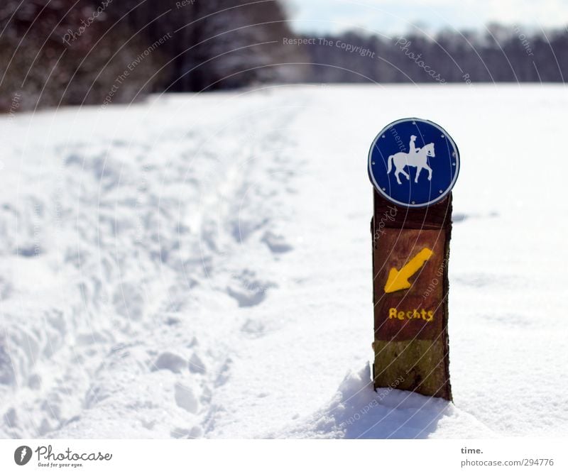 Wege & Pfade | Keine Peilung Winter Schönes Wetter Schnee Wald Zeichen Schriftzeichen Schilder & Markierungen kalt lustig verrückt Übermut Volksglaube falsch