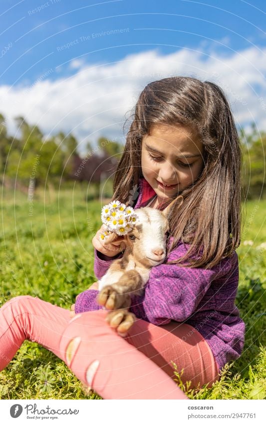 Süßes kleines Mädchen, das Blumen auf einen Kopf setzt. Lifestyle Freude Glück schön Ferien & Urlaub & Reisen Sommer Sommerurlaub Garten Kind Mensch feminin