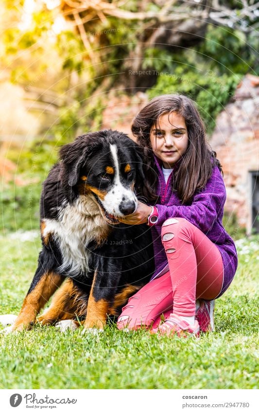 Kleines Mädchen mit einem Berner Sennenhund Lifestyle Freude Glück schön Freizeit & Hobby Spielen Ferien & Urlaub & Reisen Sommer Sommerurlaub Berge u. Gebirge