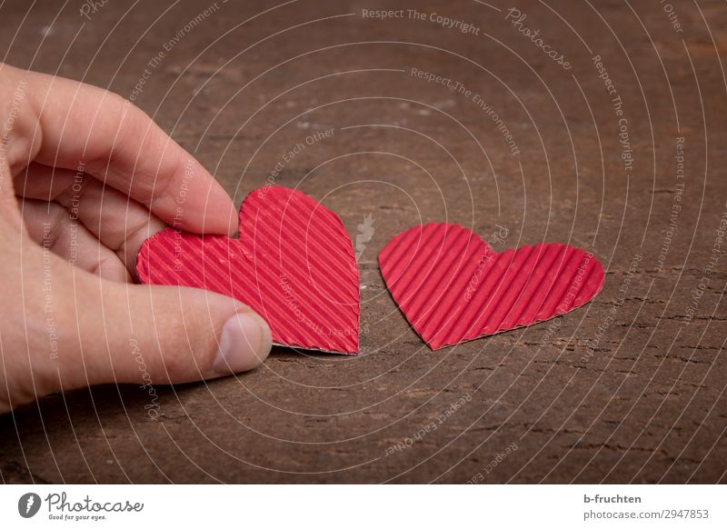 Mein Herz Valentinstag Muttertag Hochzeit Geburtstag Finger Zeichen wählen festhalten Liebe rot Zufriedenheit gleich Religion & Glaube Zusammenhalt 2 Paar