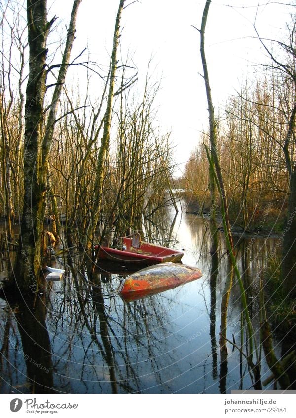 broken boat See Wasserfahrzeug Meer Ruderboot Baum Fluss