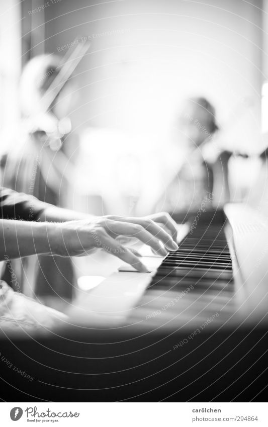 Musik Mensch Hand Finger 3 Musiker Geige Klavier schwarz weiß musizieren Zusammensein Musikinstrument Musikschule Musikunterricht Schwarzweißfoto Innenaufnahme