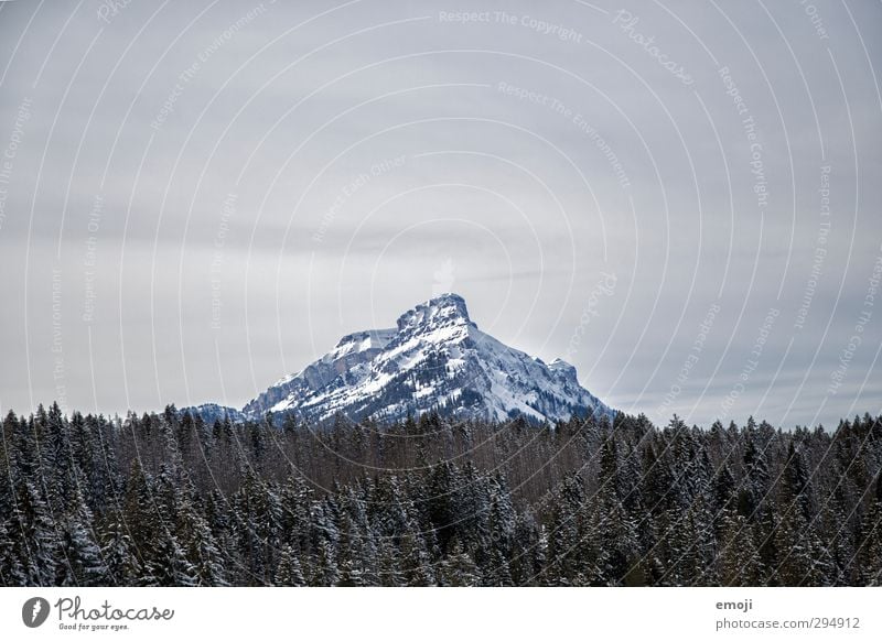 bis dorthin Umwelt Natur Winter Schnee Wald Alpen Berge u. Gebirge Gipfel Schneebedeckte Gipfel kalt weiß Farbfoto Außenaufnahme Menschenleer Textfreiraum oben