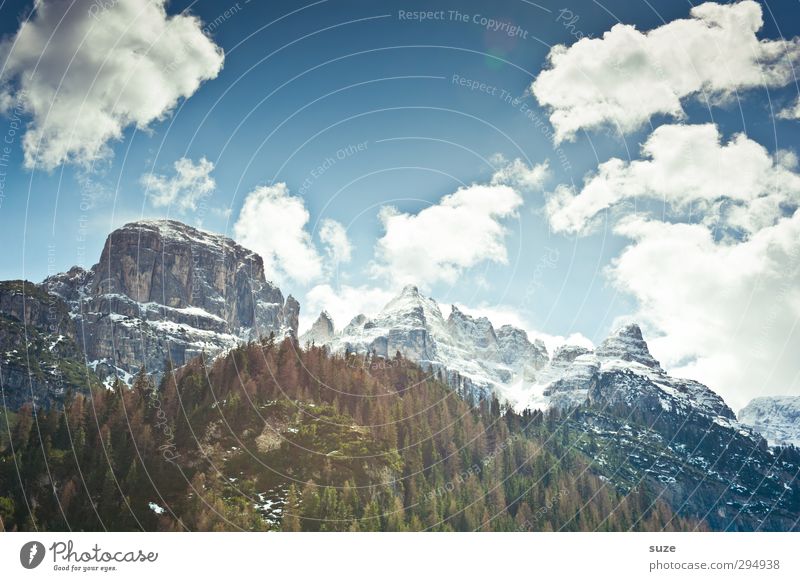 Höhenfieber Ferien & Urlaub & Reisen Berge u. Gebirge Umwelt Natur Landschaft Urelemente Himmel Wolken Frühling Klima Schönes Wetter Wald Felsen Alpen Gipfel