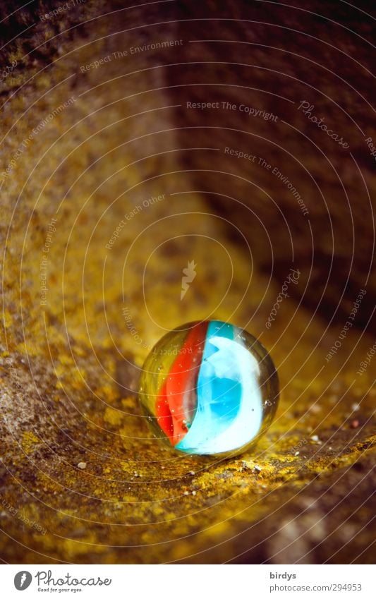 rund und bunt Murmel Glaskugel glänzend leuchten ästhetisch positiv schön blau gelb rot Farbe rein 1 Kontrast kugelrund Farbfoto mehrfarbig Außenaufnahme