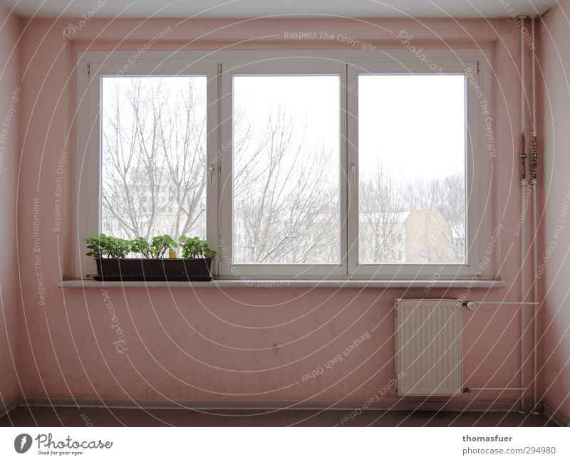 vergeblich Design Häusliches Leben Haus Renovieren Innenarchitektur Dekoration & Verzierung Fensterbrett Treppenhaus Architektur schlechtes Wetter Schnee