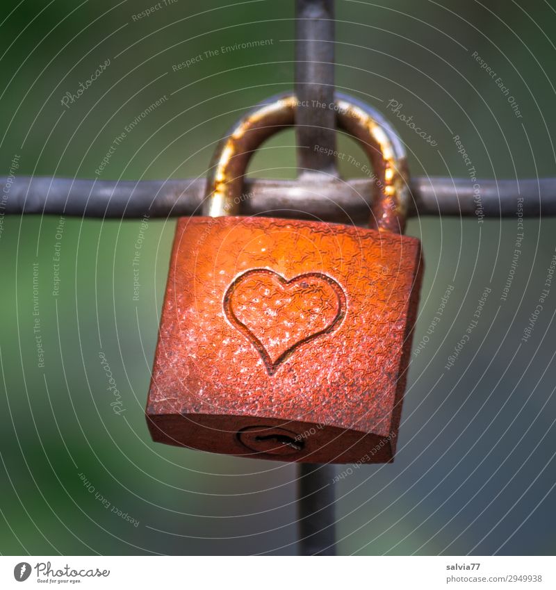 Herz verschlossen Metall Zeichen Schriftzeichen Ornament Schloss Stahl Rost Eisen Vertrauen Sicherheit Liebe Vorhängeschloss Farbfoto Außenaufnahme Nahaufnahme