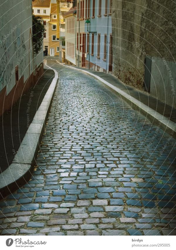 Die Gasse runter Altstadt Menschenleer Kopfsteinpflaster ästhetisch authentisch Stadt Perspektive Wege & Pfade Worms Farbfoto Außenaufnahme Tag