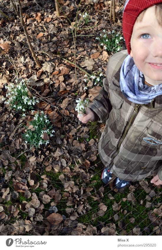 Schneeglöckchen und blaue Augen Mensch Kind Kleinkind Kindheit 1 3-8 Jahre Frühling Pflanze Blume Blüte Freundschaft Blumenstrauß Frühblüher Frühlingstag