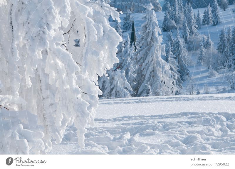 Suchbild Natur Landschaft Pflanze Winter Klima Schönes Wetter Eis Frost Schnee Baum Sträucher Wald kalt Schneelandschaft Schneedecke Kirchturmspitze Schwarzwald