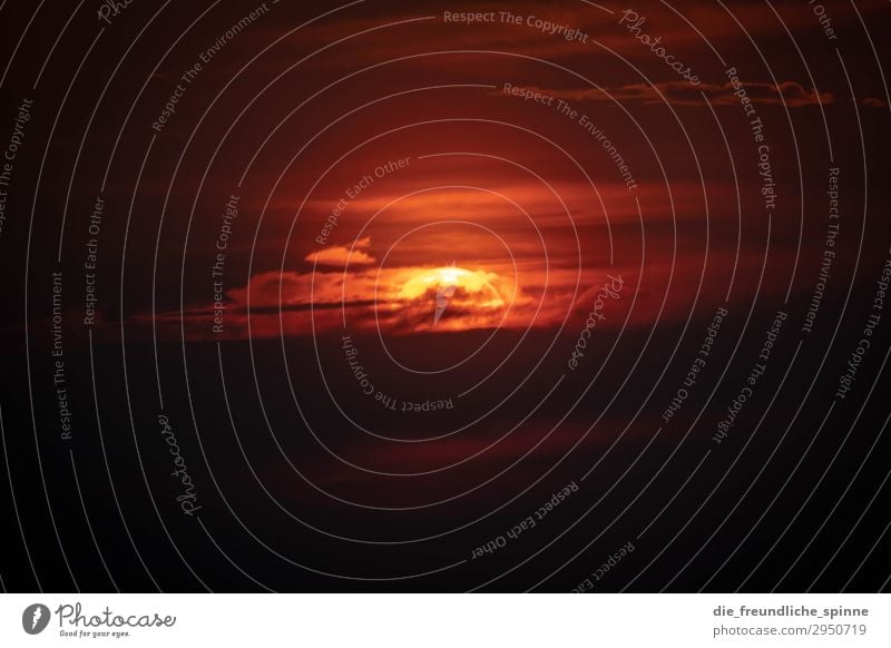 mystischer Sonnenaufgang Gegenlicht schwarz gold Sonnenuntergang rot gelb Außenaufnahme Dämmerung Sonnenlicht Menschenleer Abend Landschaft Sonnenstrahlen