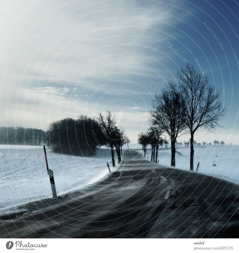 Sächsisch Lappland Ferien & Urlaub & Reisen Ausflug Ferne Umwelt Natur Landschaft Himmel Wolken Horizont Winter Wetter schlechtes Wetter Unwetter Wind Sturm Eis