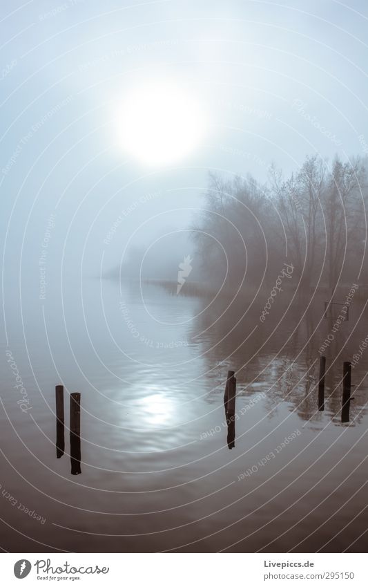 Seepark etwas später Umwelt Natur Landschaft Pflanze Wasser Himmel Wolken Sonne Sonnenaufgang Sonnenuntergang Sonnenlicht Herbst Wetter Schönes Wetter Nebel