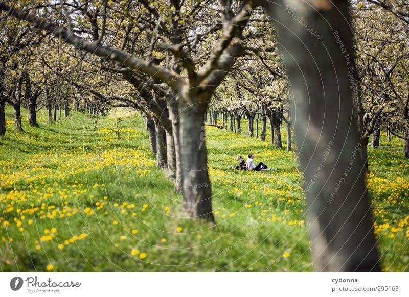 Frühling Lifestyle Gesundheit Leben Wohlgefühl Erholung ruhig Freizeit & Hobby Ausflug Freiheit Mensch Junger Mann Jugendliche 2 18-30 Jahre Erwachsene Umwelt