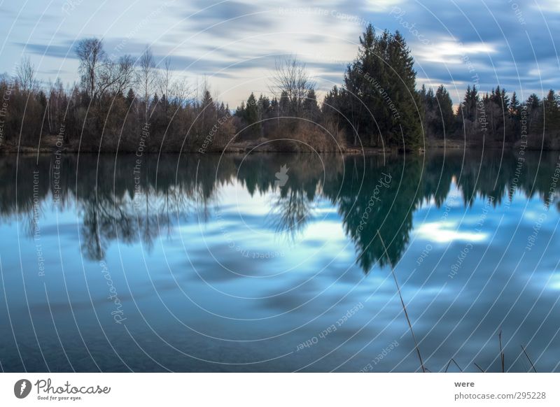 Still ruht der See Schwimmen & Baden Freiheit Umwelt Natur Landschaft Wasser Himmel Wolken Sonnenaufgang Sonnenuntergang Wald Seeufer Teich Menschenleer