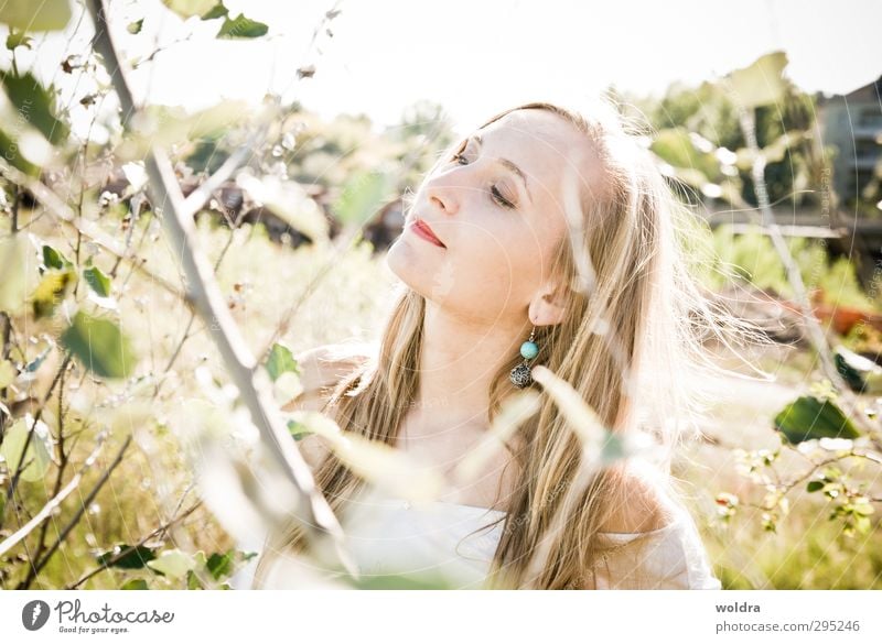 Licht Mensch feminin Junge Frau Jugendliche Erwachsene Leben Haare & Frisuren Gesicht 1 18-30 Jahre Umwelt Natur Pflanze Sonne Sonnenlicht Sommer Schönes Wetter