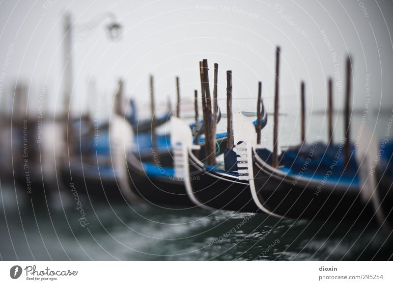 once upon a time in venice Ferien & Urlaub & Reisen Tourismus Sightseeing Städtereise Meer Insel Wasser Wetter schlechtes Wetter Nebel Laguneninseln Venedig