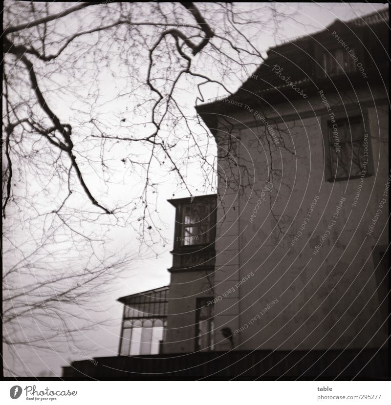 as time went by . . . Himmel Herbst Winter Baum Menschenleer Bauwerk Gebäude Architektur Villa Mauer Wand Fassade Balkon Terrasse Fenster Dach Dachrinne alt