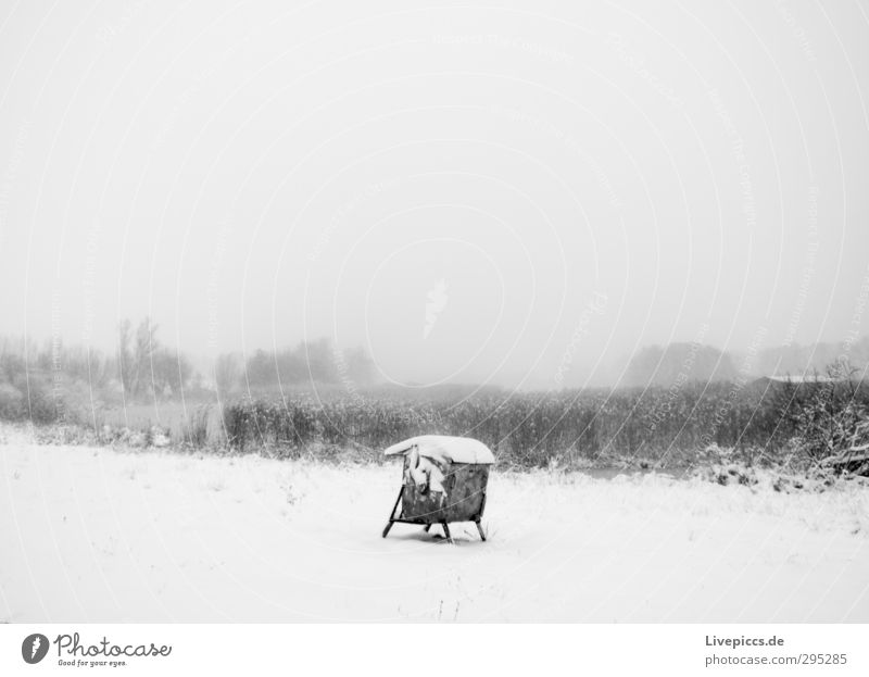 fette Tonne Natur Landschaft Himmel Wolken Winter schlechtes Wetter Unwetter Wind Nebel Eis Frost Schnee Schneefall Pflanze Baum Sträucher Wildpflanze Seeufer