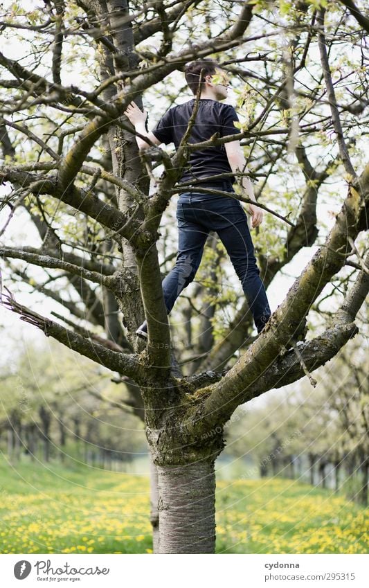 Aussicht auf Frühling Stil Gesundheit Leben Wohlgefühl Erholung ruhig Ausflug Abenteuer Ferne Freiheit Mensch Junger Mann Jugendliche 1 18-30 Jahre Erwachsene