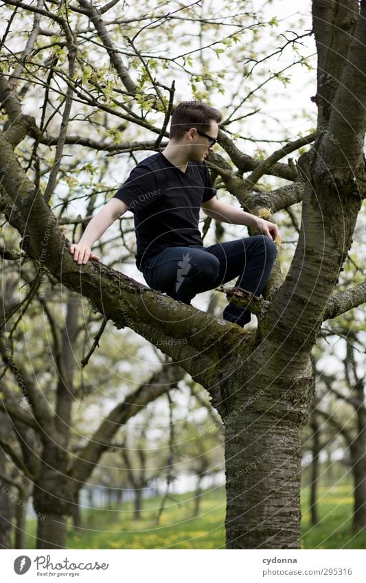 Y Lifestyle Stil Gesundheit Leben Wohlgefühl ruhig Ausflug Freiheit Mensch Junger Mann Jugendliche 18-30 Jahre Erwachsene Umwelt Natur Landschaft Frühling Baum