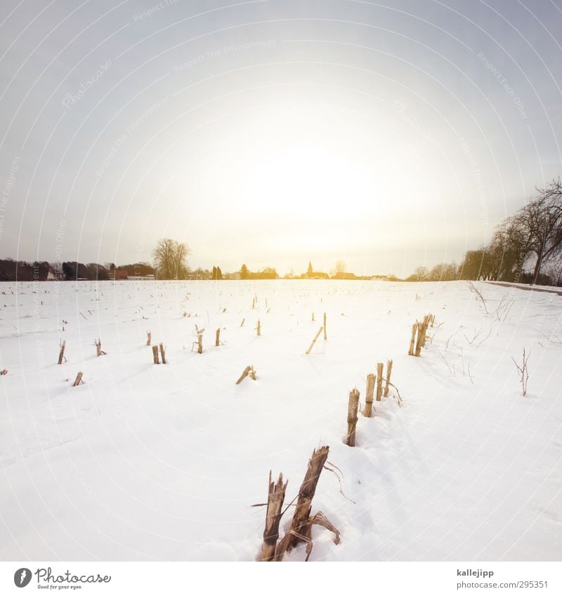 im märzen der bauer ... Landwirtschaft Forstwirtschaft Umwelt Natur Landschaft Erde Wolkenloser Himmel Sonne Sonnenaufgang Sonnenuntergang Sonnenlicht Frühling