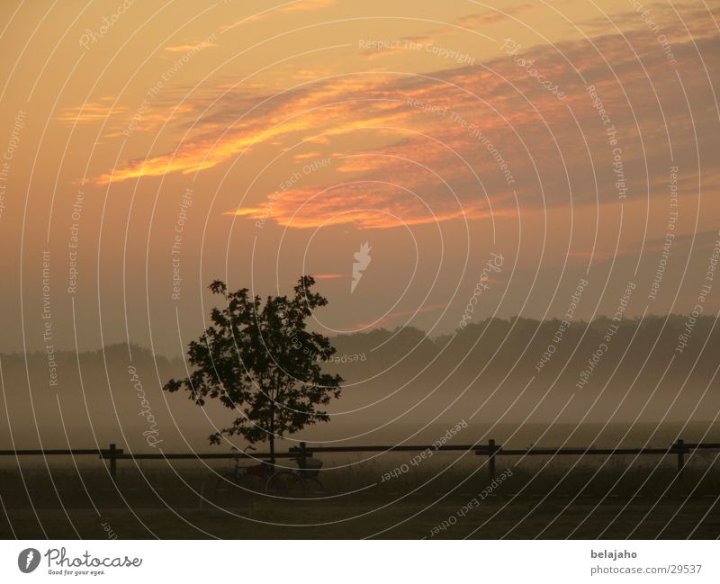 Morgendämmerung Nebel Wolken Baum Zaun Sommermorgen Tau Feld Sonnenaufgang in Heemsen aufsteigender Nebel