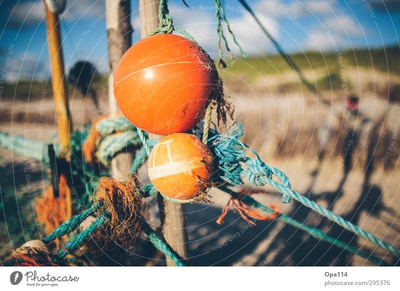 Strandgut Umwelt Natur Landschaft Wolken Sommer Schönes Wetter Küste Nordsee Meer Insel Holz Kunststoff Hinweisschild Warnschild Spielen blau grün orange